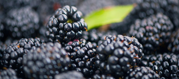 Blackberries are in, with benefits for your skin!